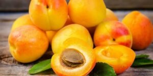  المشمش.. يحافظ على صحة العين ويزيل سموم الجسم