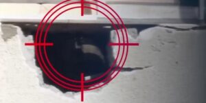 بالأرقام.. سرايا القدس تقدم حصيلة عملياتها ضد الاحتلال