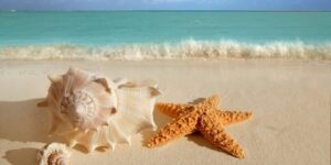 أولادنا والإجازة الصيفية