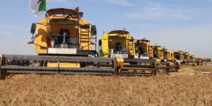 حملة الحصاد والدرس لموسم 2023 /2024 تنطلق بالولايات الشمالية