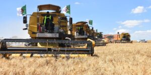 كل ولايات الوطن ستكون في أريحية في مجال تخزين الحبوب خلال حملة الحصاد والدرس المقبلة