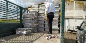 المنيعة.. استفادة أزيد من 20 حرفيا من عتاد لتربية النحل