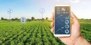 ياسين وليد وشرفة يشرفان على اختتام المسابقة الوطنية حول التكنولوجيا الفلاحية