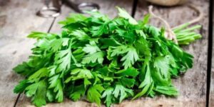 البقدونس.. فوائد تجعلك لا تستغني عنه