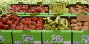 المعرض يدوم إلى غاية 8 أوت المقبل.. 20 عارضا في المعرض الأول للمنتجات الفلاحية بأزفون