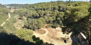 مخطط لحماية حديقة الحيوانات والتسلية ببن عكنون من الحرائق