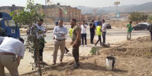 حملة تشجير كبيرة بالمدينة الجديدة بوعينان