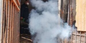 مقاطعة سيدي عبد الله.. إجراءات استباقية لمنع انتقال مرض الجلد العقدي