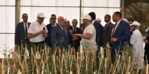 رسميا.. الجزائر تحصي 1.2 مليون مستثمرة فلاحية عبر التراب الوطني