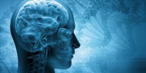 العلم والإيمان.. ما من دابة إلا هو أخذ بناصيتها