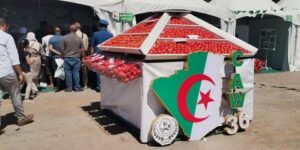 والي الطارف: “نتوقع إنتاج 4.5 ملايين قنطار من الطماطم هذا الموسم”