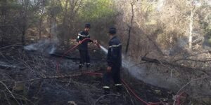 على غرار بجاية تيزي وزو سكيكدة وقالمة.. إخماد أغلب حرائق الغابات