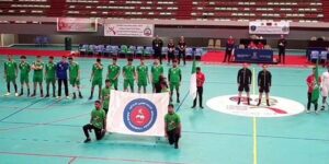 من أجل تدعيم تواجد الجزائر في مختلف الهيئات.. 4 أعضاء جدد ضمن لجان الإتحاد العربي لكرة اليد