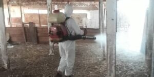 استنفار بسيدي عبد الله لمنع انتشار مرض الجلد العقدي