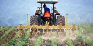 المسلم وعمارة الأرض