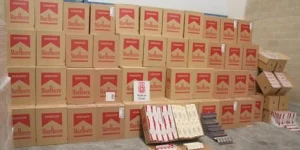 حجز 50.000 علبة سجائر بالوادي