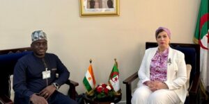 بحث إمكانيات تعزيز وتقوية التعاون المشترك بين الجزائر والنيجر في المجال الثقافي