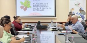 التحضير لإطلاق مشروع هام لإنتاج السكر بولاية ورقلة