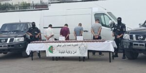 حجز 16275 كبسولة من المؤثرات العقلية ذات منشأ أجنبي بالبليدة