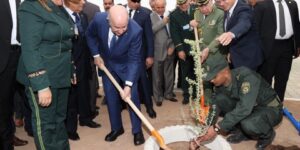 رقمنة مشروع تأهيل السد الأخضر ومراقبة وتقييم العمليات المنجزة