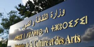 نظام المعلومات الجغرافي لقطاع الثقافة والفنون.. استحداث لجنتين للمتابعة والتنسيق