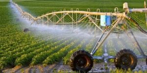 إحصاء أزيد من 38 ألف مستثمرة فلاحية بتبسة