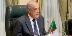 نذير العرباوي يترأس أشغال الدورة 187 لمجلس مساهمات الدولة.. اعتماد مشروع إنشاء مجمع للأشغال البحرية