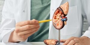 نصائح للوقاية من الحصى الكلوية