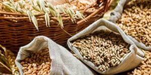 صحتنا في غذائنا.. نعم للحبوب الكاملة بعد الأربعين!