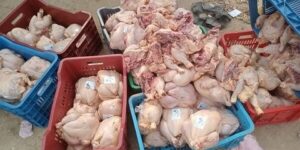 برج بوعريريج.. إحباط محاولة تسويق كمية من الدجاج الفاسد