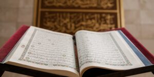 منهاج المسلم.. وما أَرْسَلْنَا مِنْ رَسُولٍ إِلَّا لِيُطَاعَ