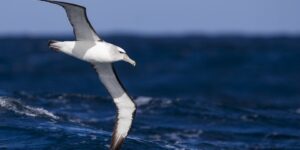 العلم والإيمان.. قدرة الله