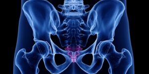 العلم والإيمان.. عجب الذنب