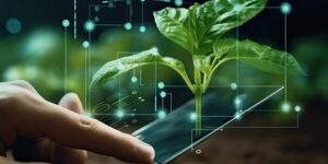 الجزائر تتوجه لى الزراعة بالذكاء الاصطناعي.. التجارب تمكن من مضاعفة إنتاج الخضروات