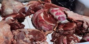 البيــــض.. حجز أكثر من 73 كلغ من اللحوم الحمراء غير الصالحة للاستهلاك