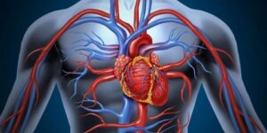 من بينها أشياء لا تخطر على البال.. مؤشرات تؤثر على صحة شرايين قلبك