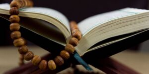 حفاوة القرآن بالحياة