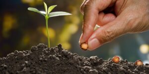 وَقُلِ اعْمَلُوا