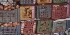 عين الدفلى: حجز أكثر من 82 قنطارا من البطاطا في إطار محاربة المضاربة غير المشروعة