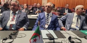 ساعد عروس.. الجزائر تعتز بصوتها الصادح في مجلس الأمن الدولي