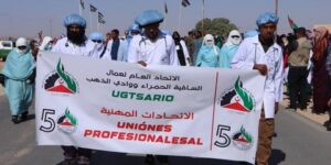 استعراضات مهنية تجسد البناء المؤسساتي للدولة الصحراوية