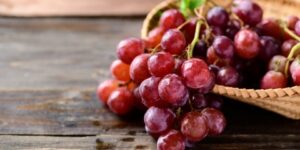 العلم والإيمان.. فأنبتنا فيها حباً وعنباً