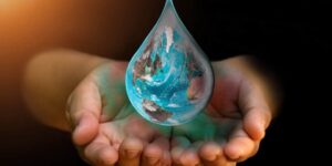 العلم والإيمان.. حقوق البيئة على المسلم