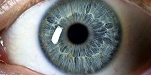 العلم والإيمان.. لون العينين