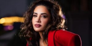 ديانا حداد: كثير من النجوم لم يصلوا إلى نصف نجاحات أرشيفي