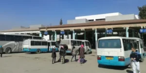 تراخيص نقل جديدة بخنشلة