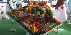 الجزائر تحتفل باليوم العالمي للأغذية