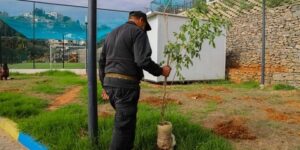 نحو غرس 1954 شجيرة بالعاصمة كرمزية لسبعينية الثورة التحريرية