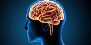 من أجل الحفاظ على العقل سليما.. مكملات غذائية ينصح الخبراء بتناولها