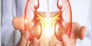 دراسة حديثة تكشف عنه.. نظام غذائي قد يساعد على تحسين وظائف الكلى